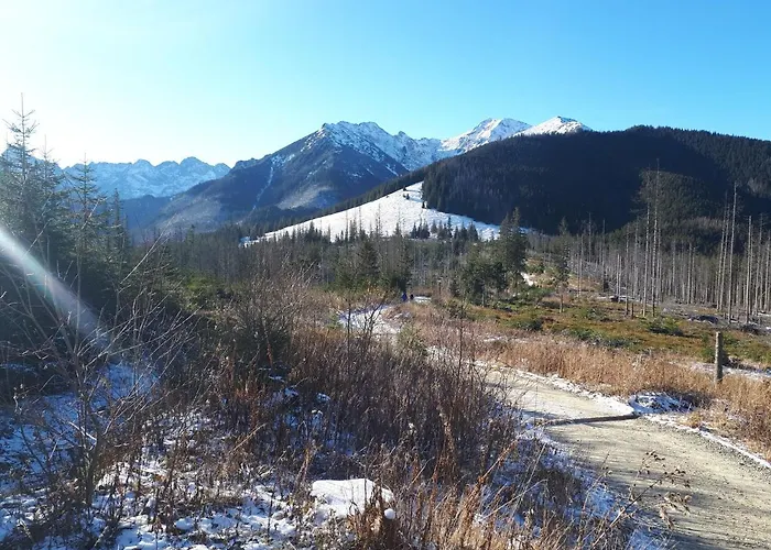 Monsieur Henri Gronków