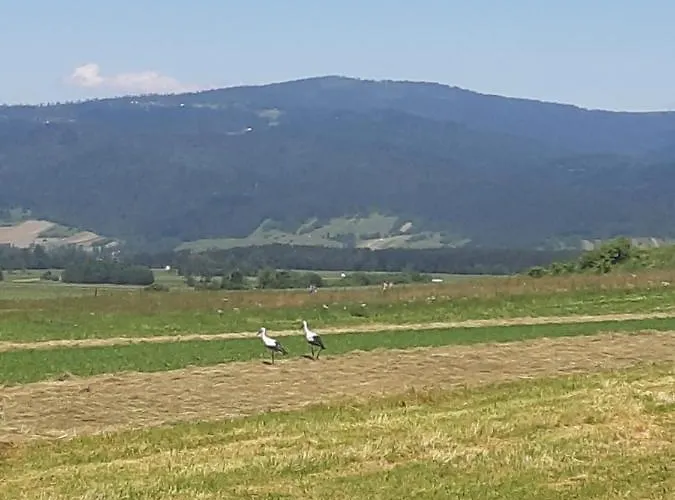 Nyaraló Monsieur Henri