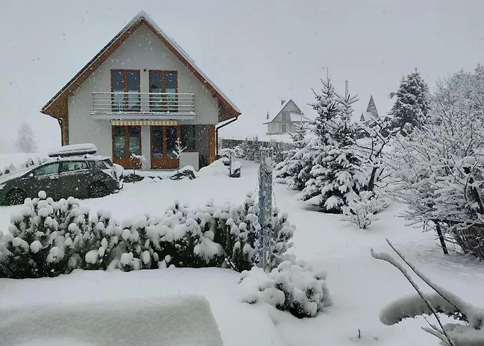 Monsieur Henri * Gronków