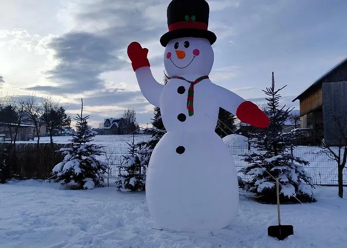 Monsieur Henri Nyaraló