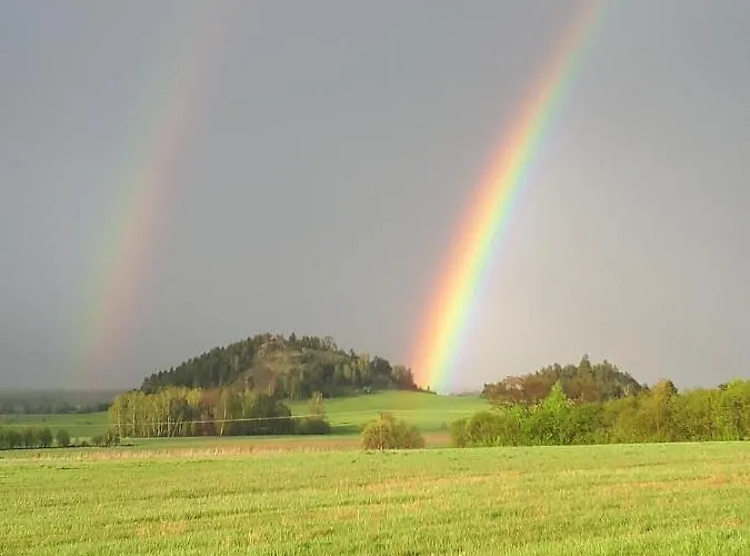 Monsieur Henri Nyaraló *