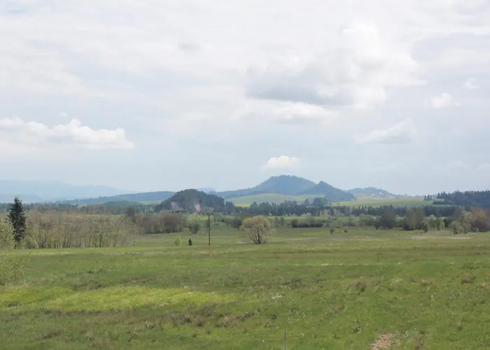 Monsieur Henri * Gronków